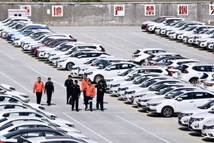 筑牢安全防火墻 消防安全檢查走進(jìn)新疆最大商品汽車專業(yè)貨場